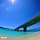 野甫大橋