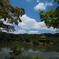 存在感