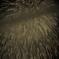 花火_最後の1発