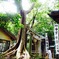 神聖なところ