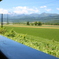 夏の北海道
