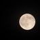 07.21 Moon