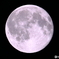 Full moon