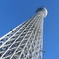 東京スカイツリーを見上げて
