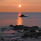 日本海の夕日