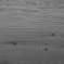 WATERSCAPE