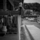 Cross.