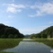 水の田