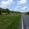 夏の日の一本道