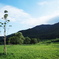 DSC05540