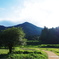 DSC05546 (1)