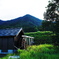 DSC05560 (1)