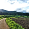 DSC05662 (1)