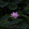 一点