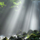 Shower of the light