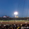 甲子園観戦
