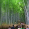 京都嵐山 夏の涼を求めて ２