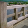 京都嵐山 夏の涼を求めて ４