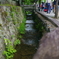 京都嵐山 夏の涼を求めて ５