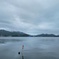 何が釣れるかな？