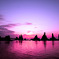 Uprise Pink