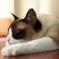 zzz・・・