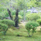 吉城園