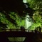 箕面の滝
