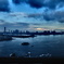 東京湾夕景