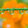雨上り