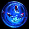 アートアクアリウム 金魚