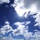 Sunnyday