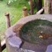祇王寺 その3