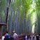 竹林の小径
