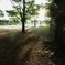 Beginning