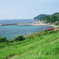 日常の光景