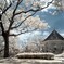 Band Stand In Infrared