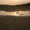 DSC00129