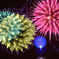 2016とまり夏まつり