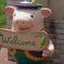 welcome