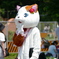 見た目猫