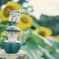 デジタル写真