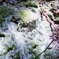 光と湧き水