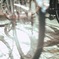 自転車