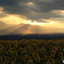 夕暮れの光芒