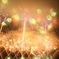 image:52177