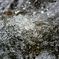 _DSC0020