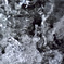 _DSC0037