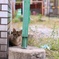 ほっといて