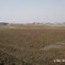 100506-073824